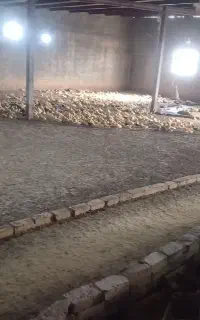 اردک