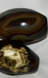 ماهشهر