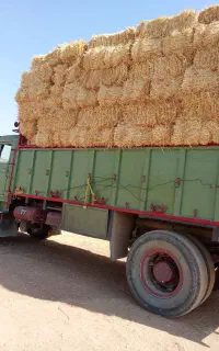 کاه بسته بندی