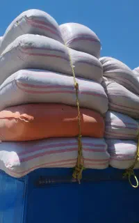 خرید و فروش پرس گندم، یونجه،علف، کاه گندم و کاه جو