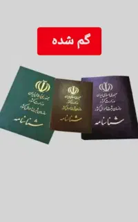 شناسه گمشده