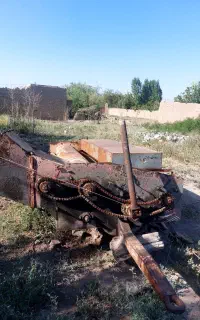 کدو پاکن