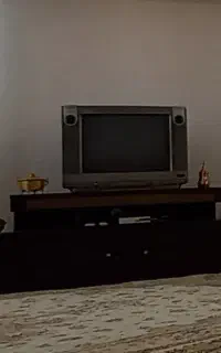 تلویزیون ۲۱ ال جی صحیح و سالم
