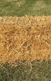 پرس کاه یا سر کولش دانه دار