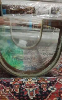 اکواریم شیشه خم شرکتی هم نقد هم معاوضه