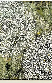 آموزش حرفه ای رو از ما بخواهید