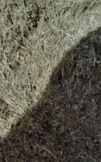 یونجه خورد شده درجه یک با بهترین کیفیت