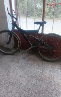 دوچرخه
