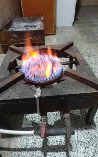 گاز بزرگ سالم