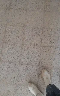 کفسابی سنگ سابی سنگساب سابزنی نماشویی