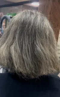 مدل رایگان مش کلاهی
