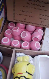 گلدان کاکتوسی سرامیکی کاملا نو تعداد عمده یکجا