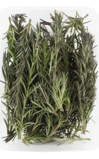 سبزی رزماری تازه کرج