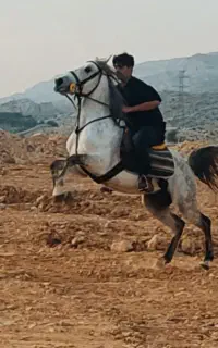 اسبه کرد