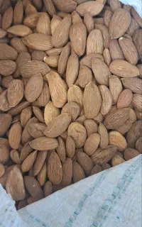 مغز بادام شیرین