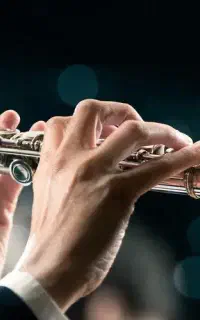 فلوت آمریکایی کلکسیونی