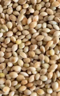 ارزن فروشی