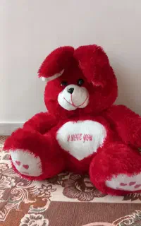 خرگوش پولیشی