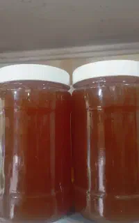 عسل.گون.اویشن.چند گیاه.موم دشت لار