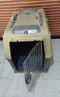 باکس سگ مدل رها سایز ۶