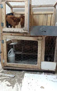 قفس برای جوجه و کبوتر