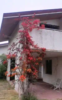 بازسازی و طراحی داخلی و بیرون