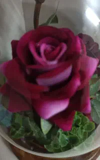 واگذاری امتیاز پروانه آژانس مسافر بری