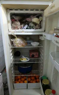 یخچال پارس سالم