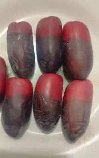 خرما ربی سرخال