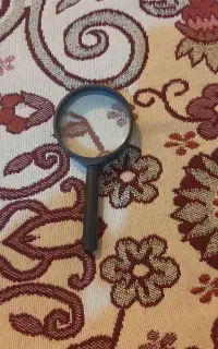 ذره بین