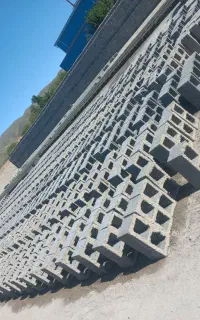 بلووک زن ماهر