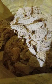نان خشک سالم و تمیز بدون کپک زدگی