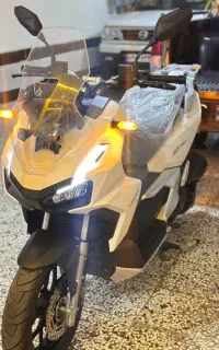 Adv150 توسن خشک