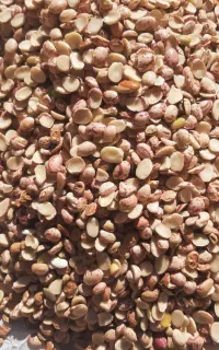 لوبیا چیتی لپه مخصوص اش وخوراک
