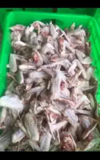غذا سگ