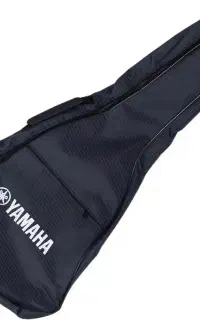 کیف گیتار