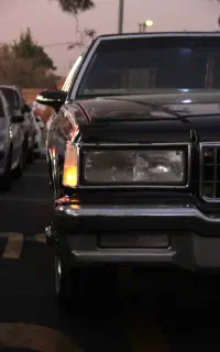 شورلت کاپریس LS مدل ۱۹۸۱ اسنثنایی