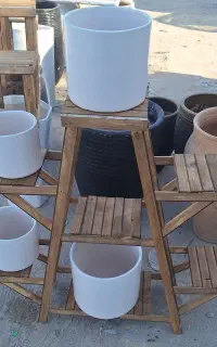 استند