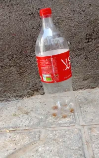 دبه یک و نیم لیتری
