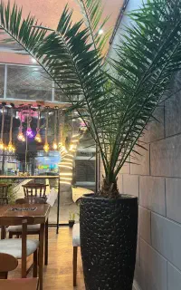 کافه