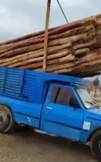 فروش و خرید انواع چوب