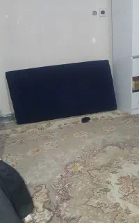 دوعدد پشتی نو