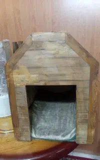 کلبه سگ