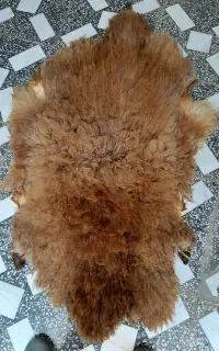 پوست تخت گوسفندی تز ئینی