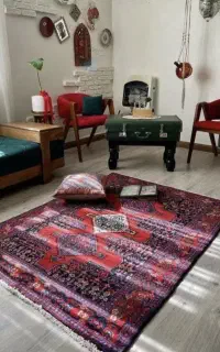 انجام کلیه کارهای منزل و شخصی