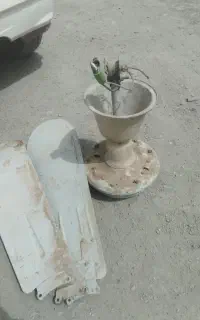 پنکه سقفی