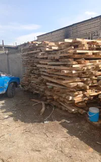 خرید چوب درخت بصورت نقدی