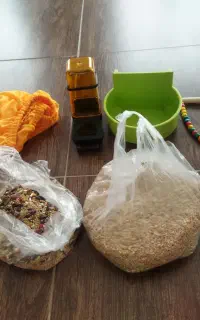 غذای عروس هلندی