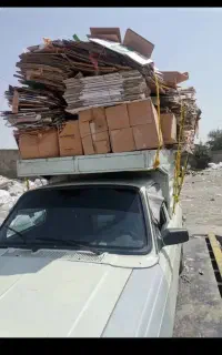 کارتن وکتاب