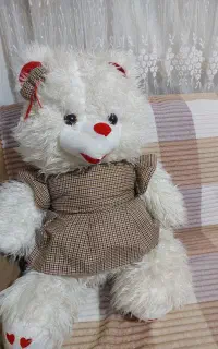 خرس بزرگ ۱متری